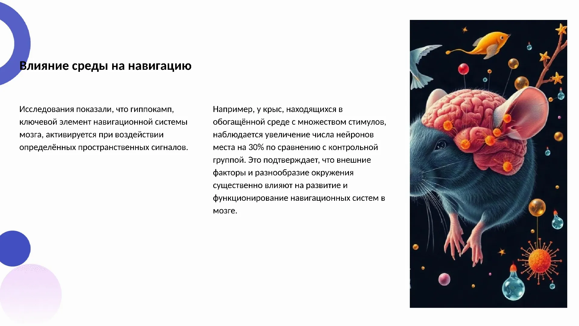 Влияние среды на навигацию - слайд для презентации на тему 