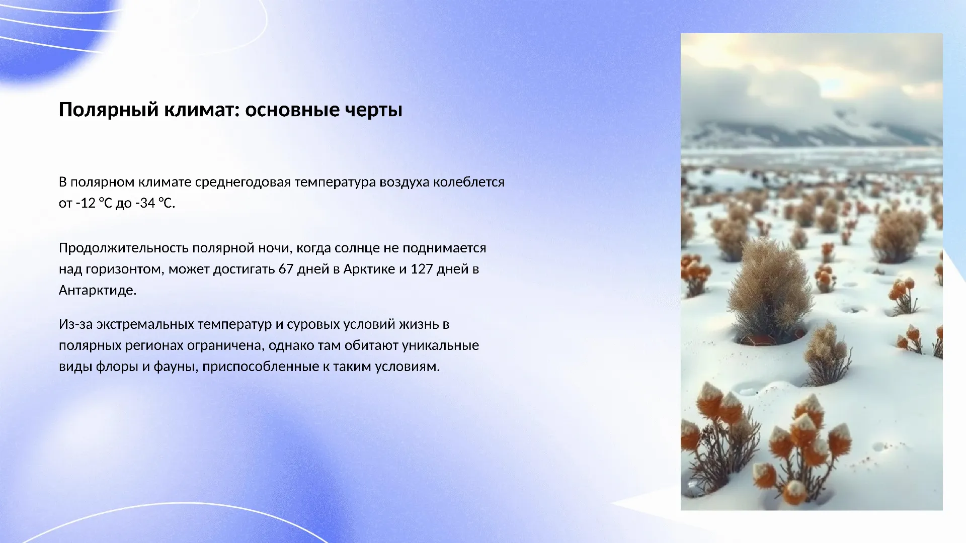 Полярный климат: основные черты - слайд для презентации на тему 