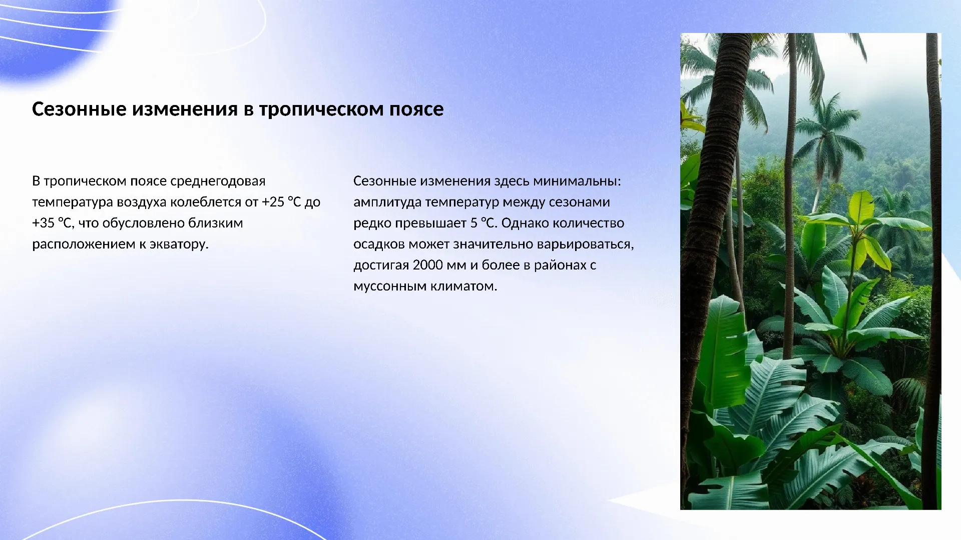 Сезонные изменения в тропическом поясе - слайд для презентации на тему 