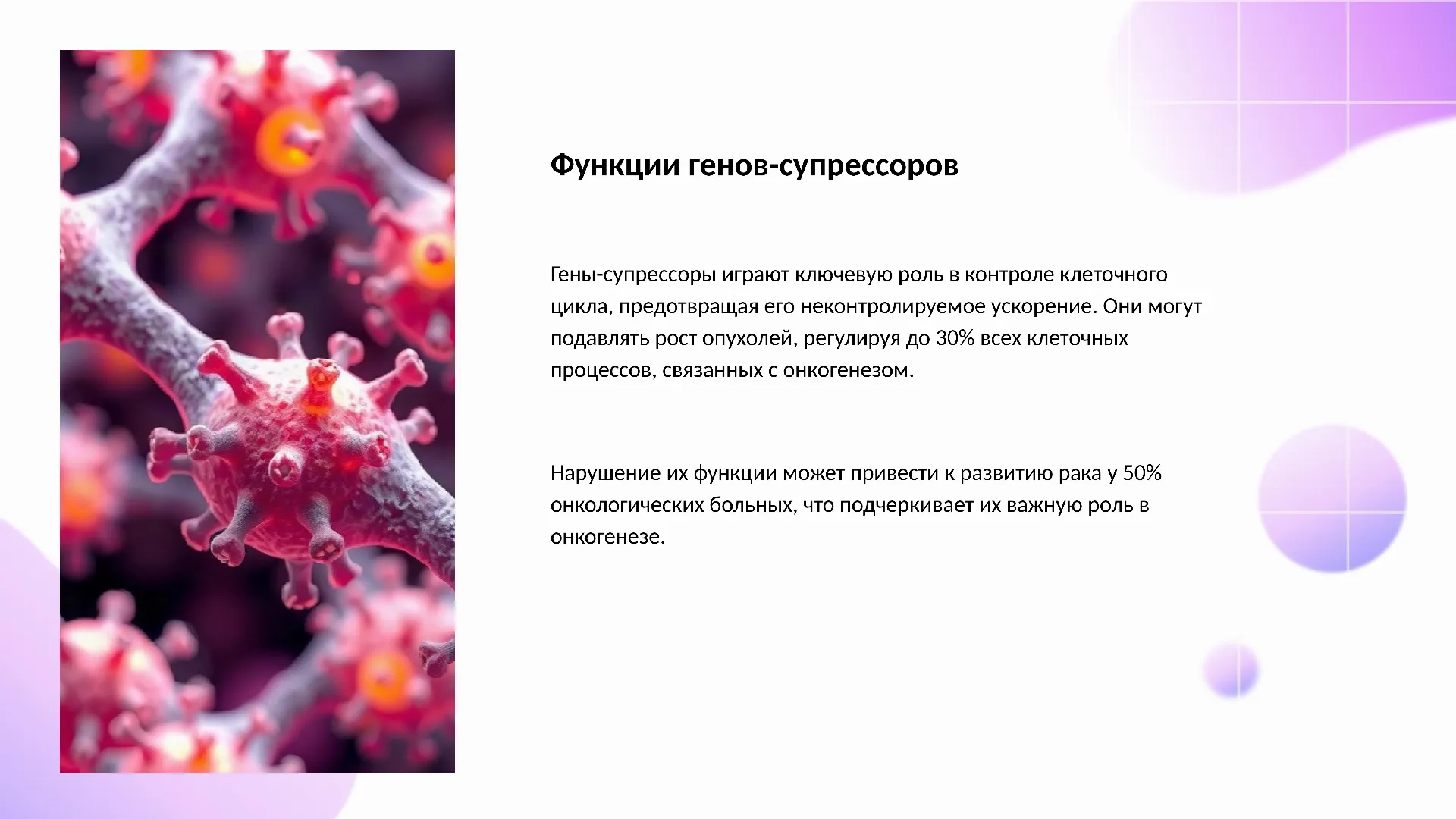 Функции генов-супрессоров - слайд для презентации на тему 