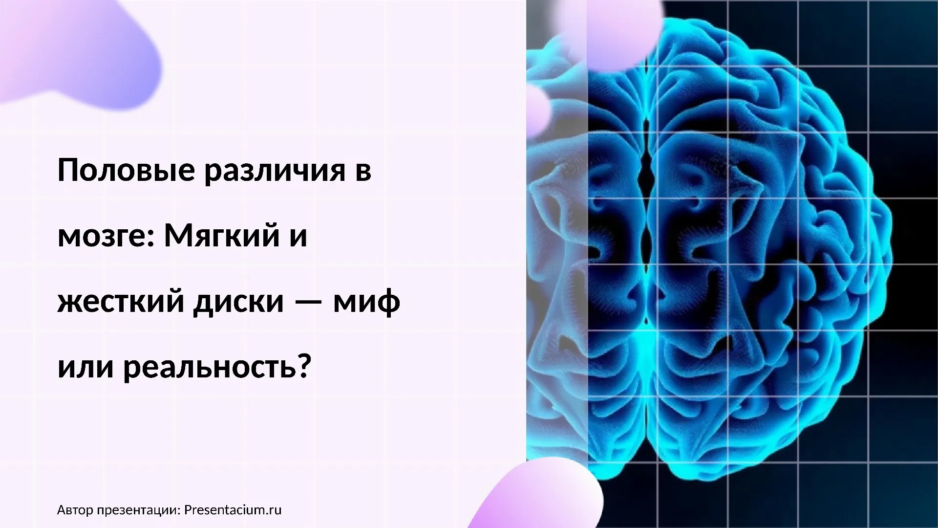 Половые различия в мозге: Мягкий и жесткий диски — миф или реальность?