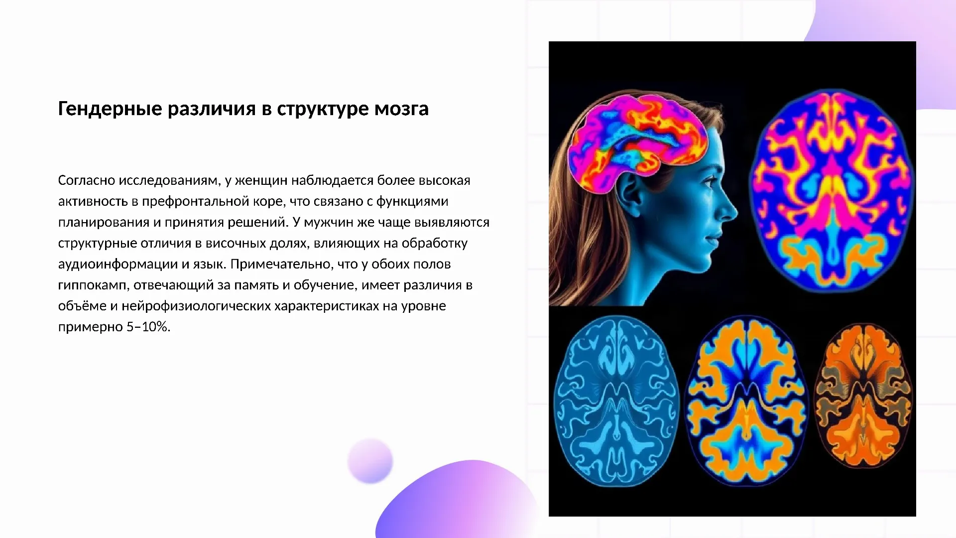 Гендерные различия в структуре мозга - слайд для презентации на тему 