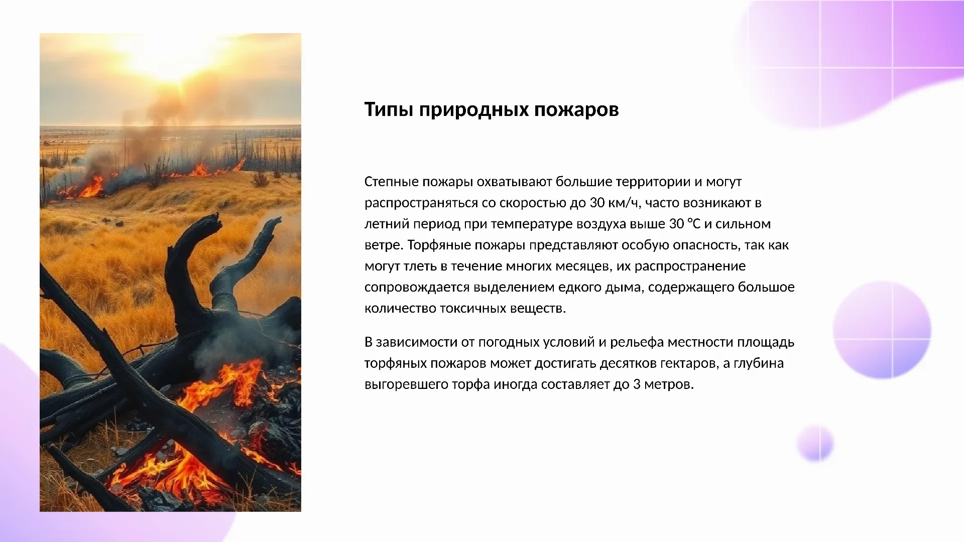 Типы природных пожаров - слайд для презентации на тему 