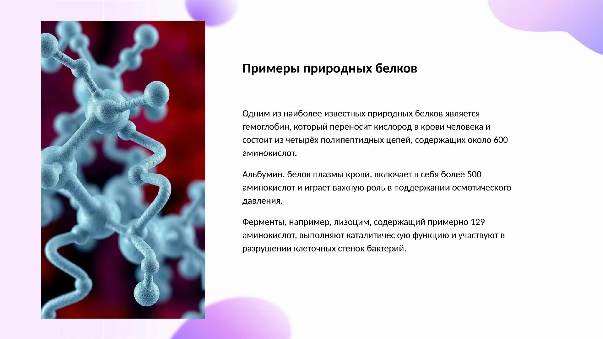 Примеры природных белков - слайд для презентации на тему 