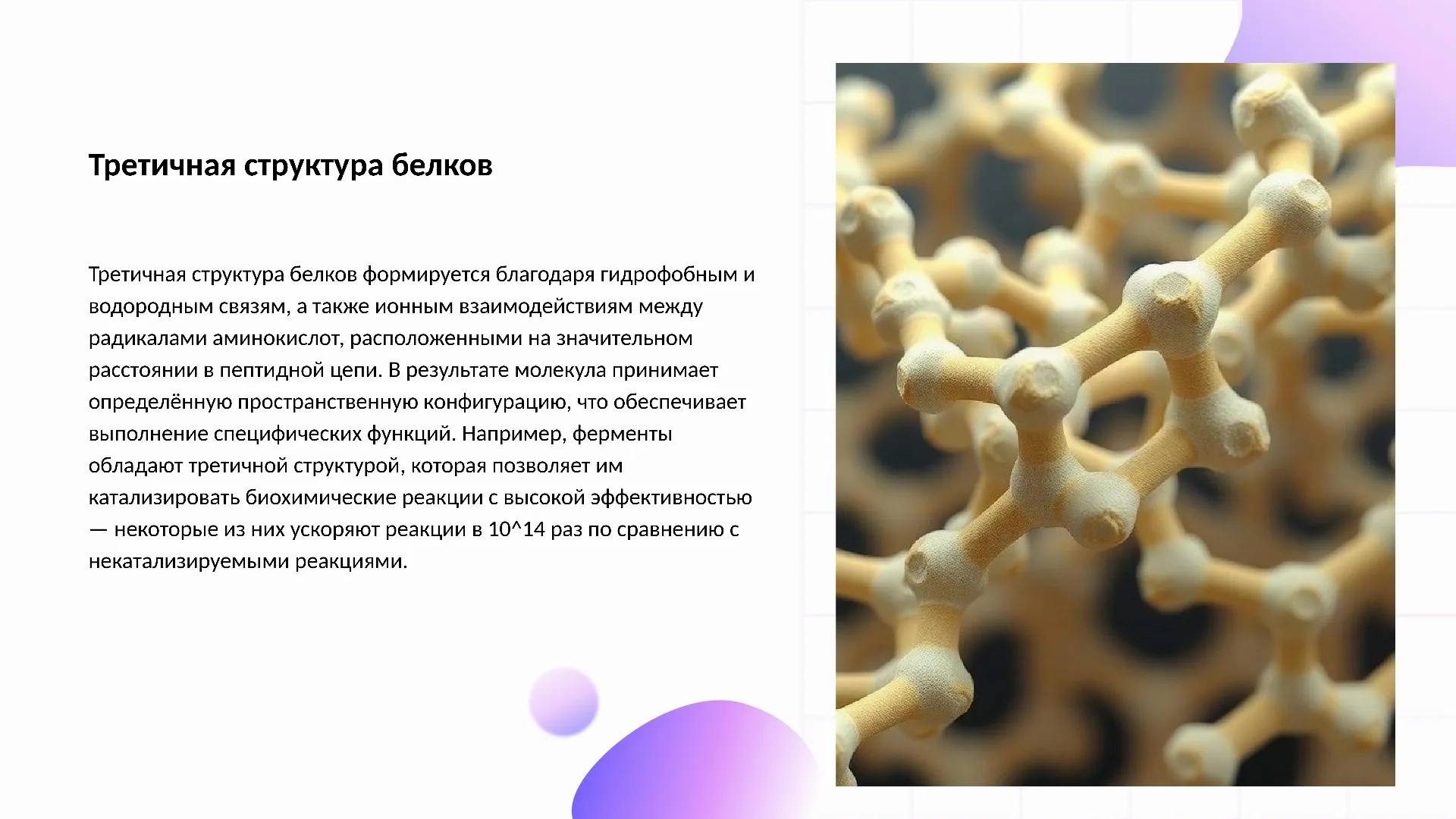 Третичная структура белков - слайд для презентации на тему 
