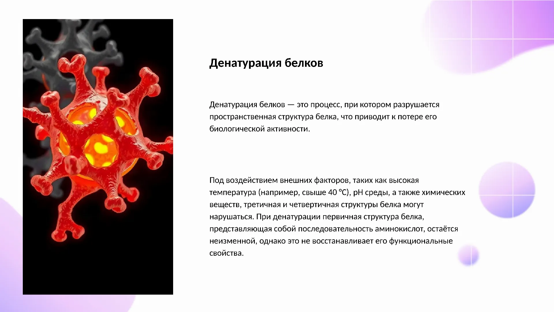 Денатурация белков - слайд для презентации на тему 