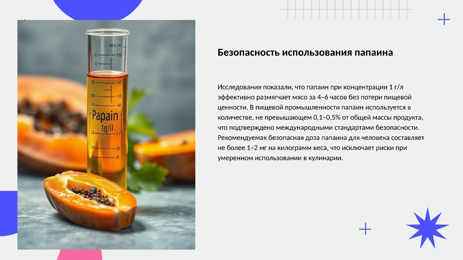 Безопасность использования папаина - слайд для презентации на тему 