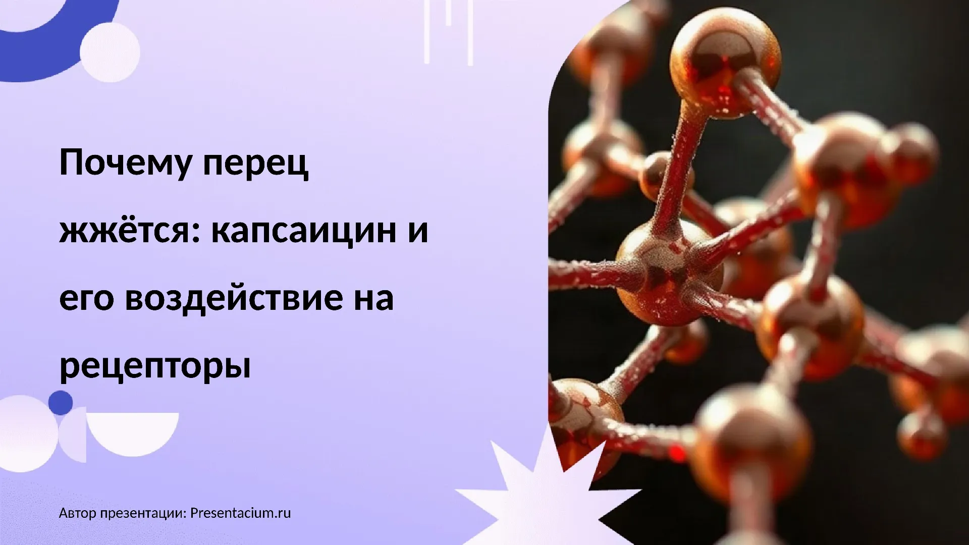 Почему перец жжется: Капсаицин и его воздействие на рецепторы.