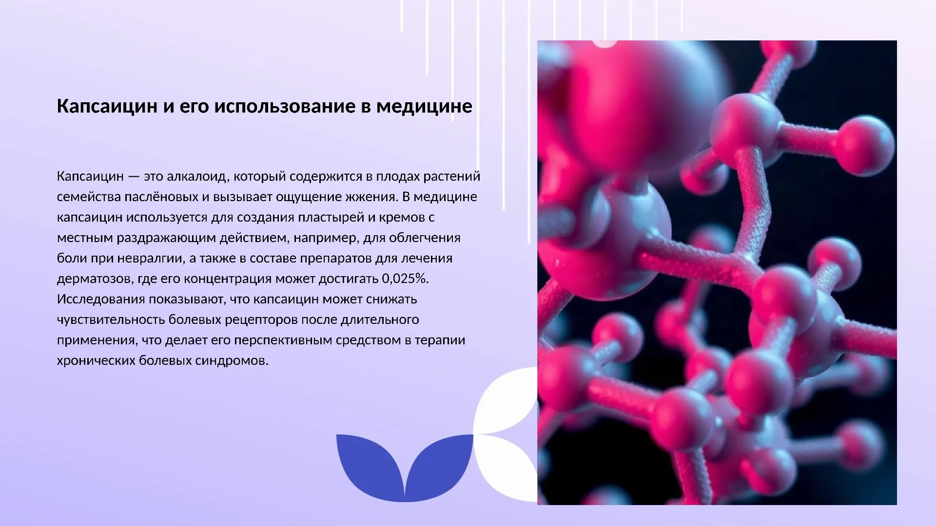 Капсаицин и его использование в медицине - слайд для презентации на тему 