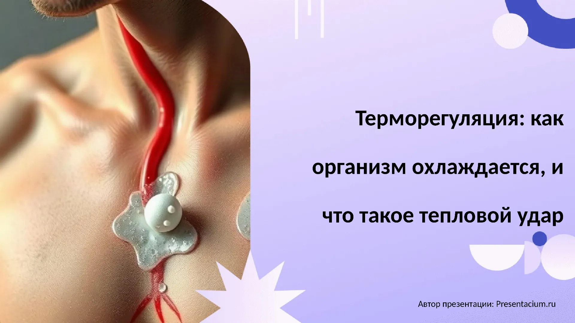 Терморегуляция: Как организм охлаждается, и что такое тепловой удар.