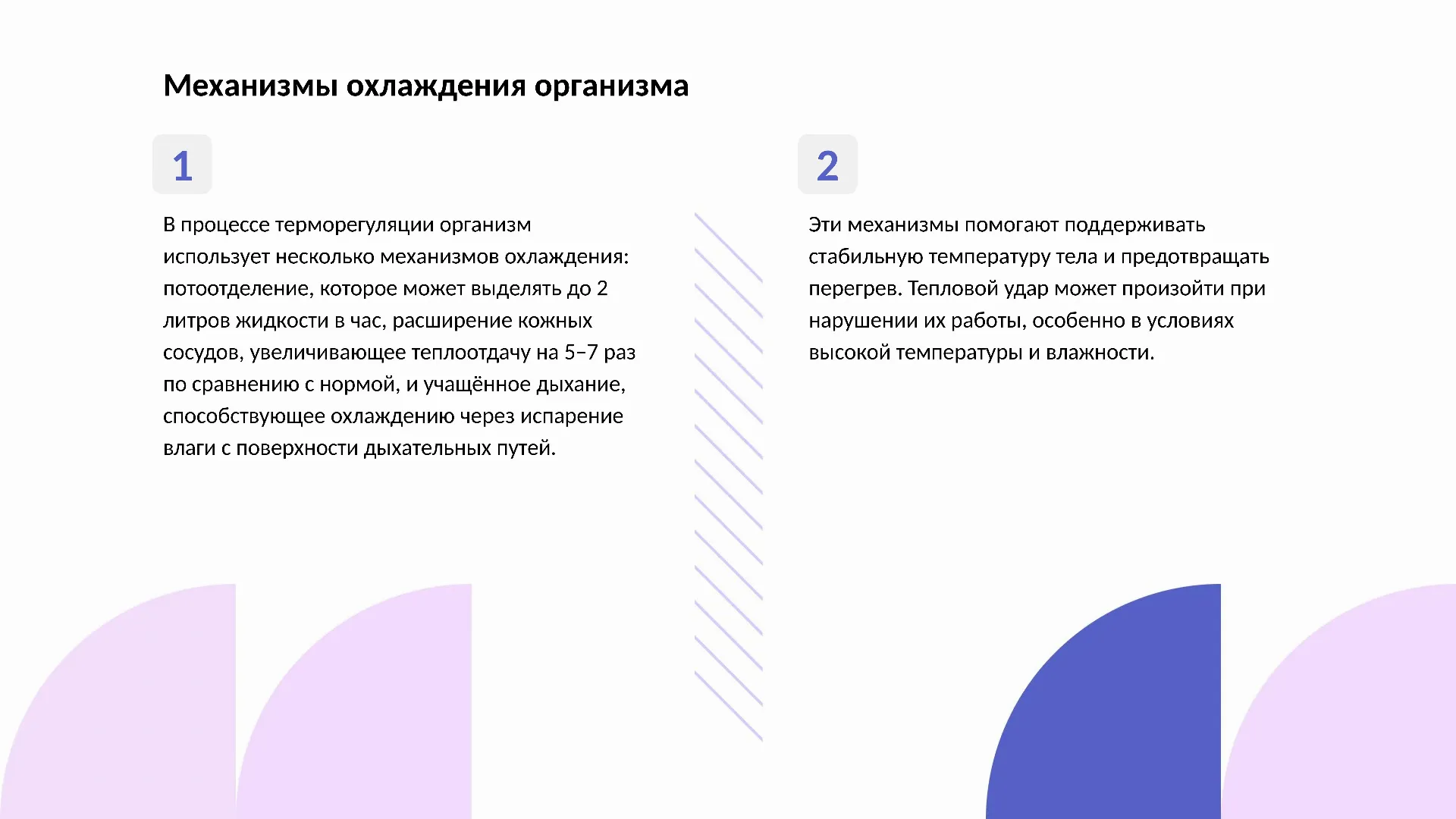 Механизмы охлаждения организма - слайд для презентации на тему 