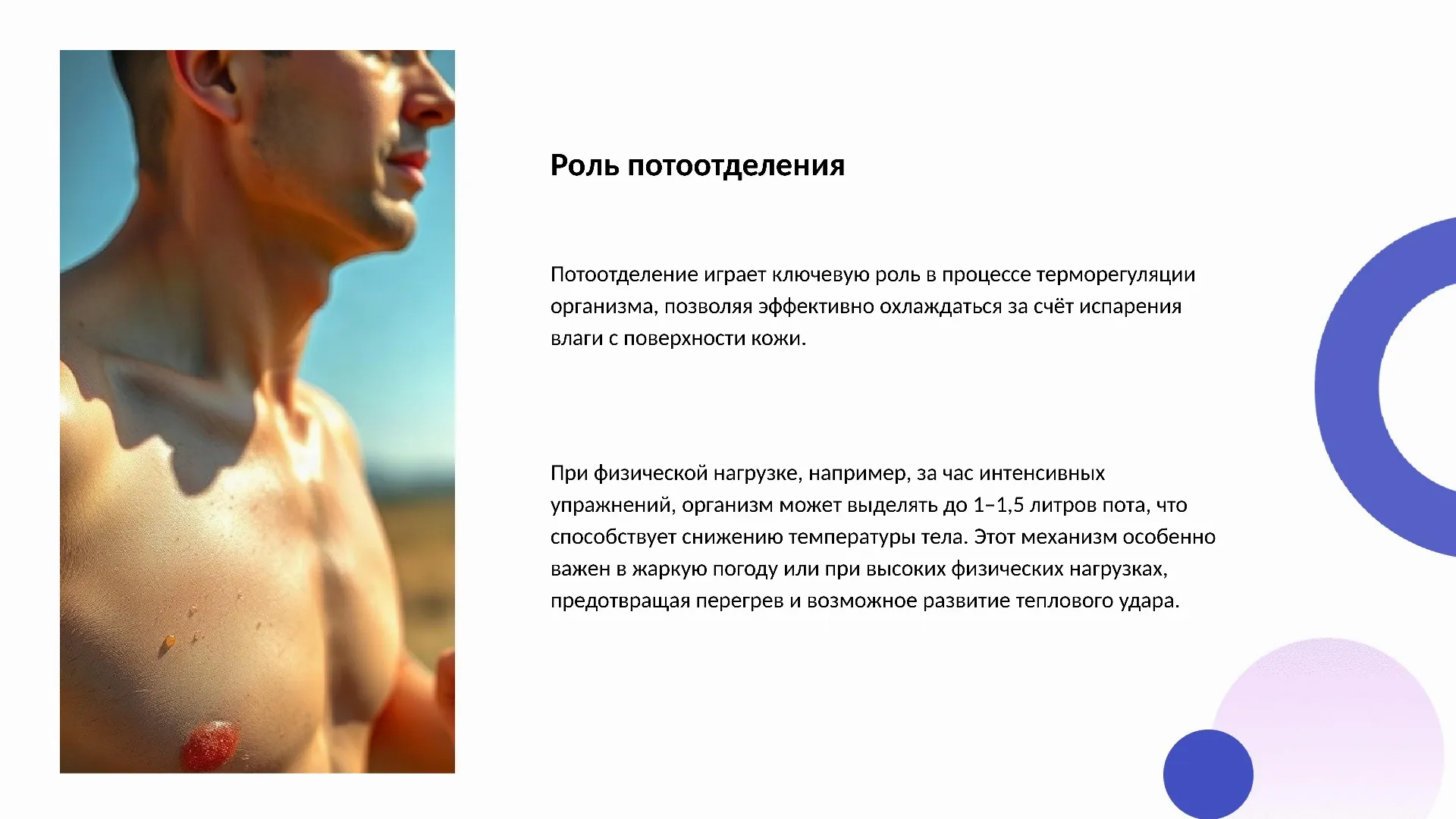 Роль потоотделения - слайд для презентации на тему 