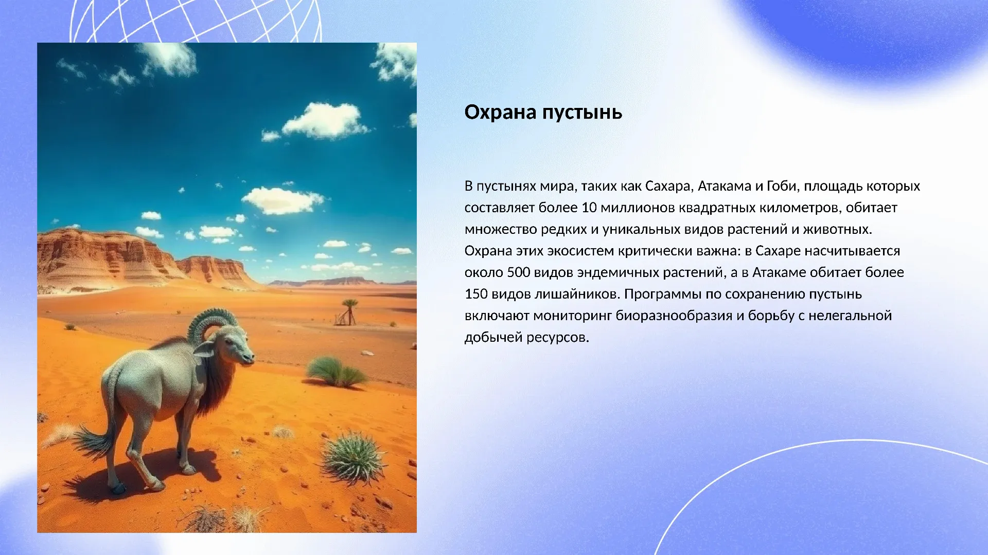 Охрана пустынь - слайд для презентации на тему 
