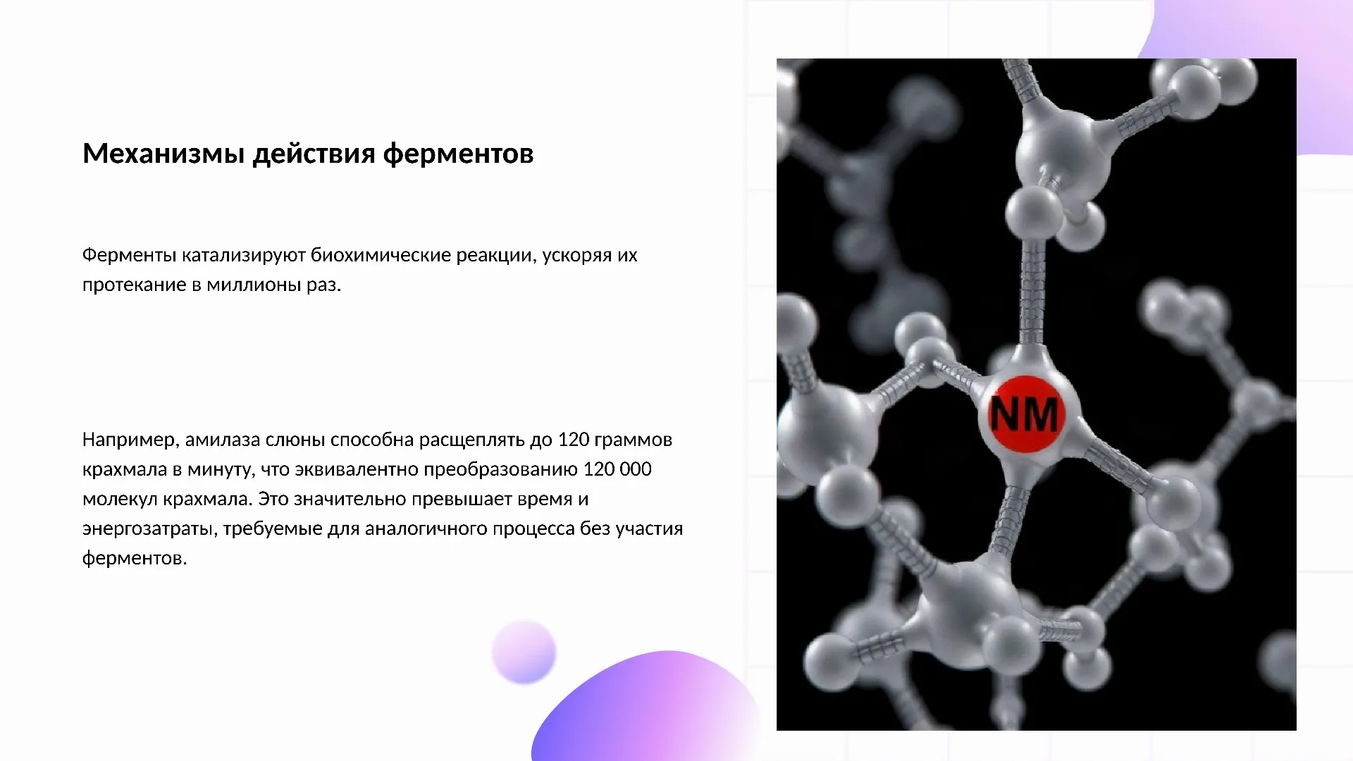 Механизмы действия ферментов - слайд для презентации на тему 