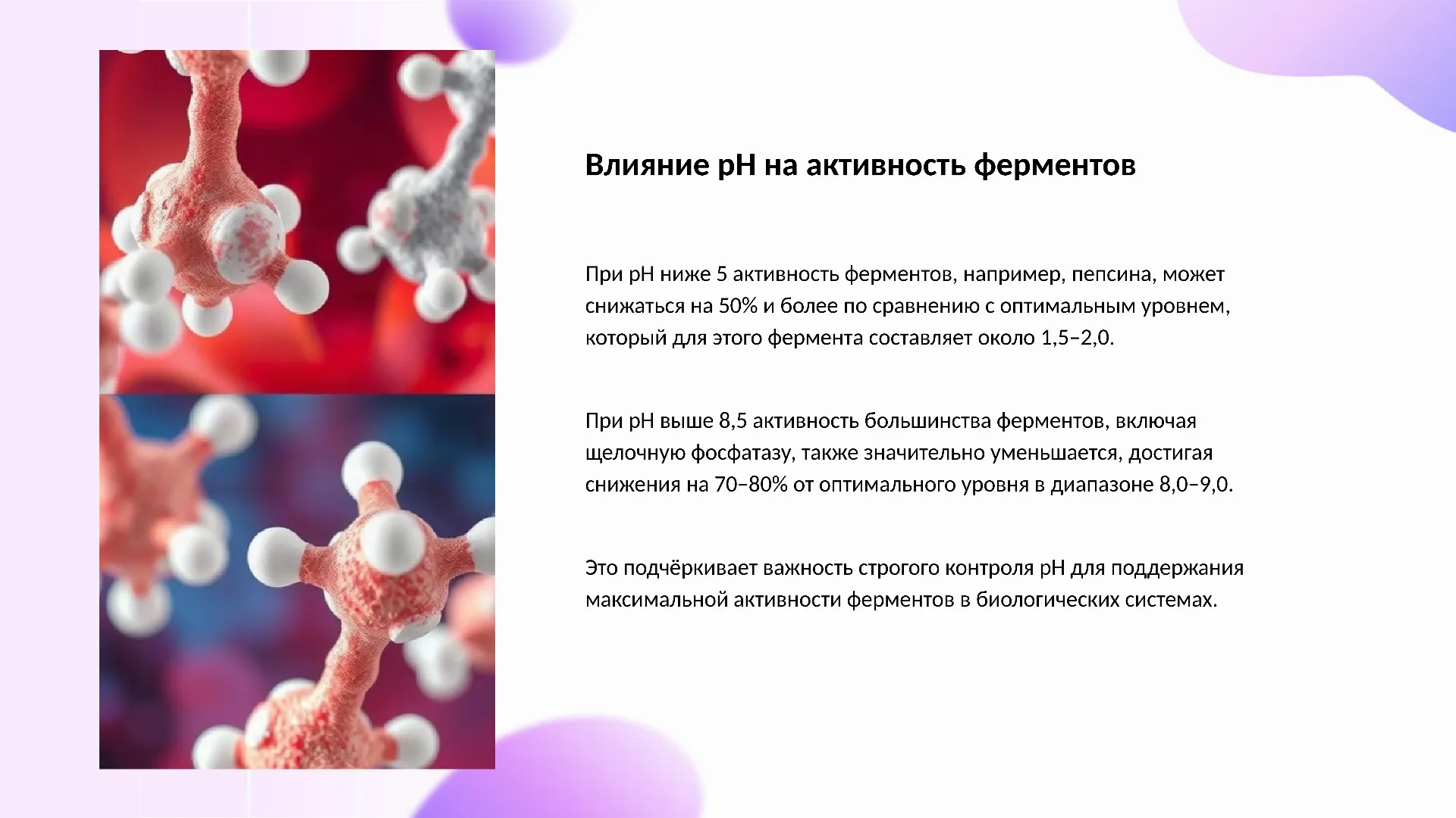 Влияние pH на активность ферментов - слайд для презентации на тему 