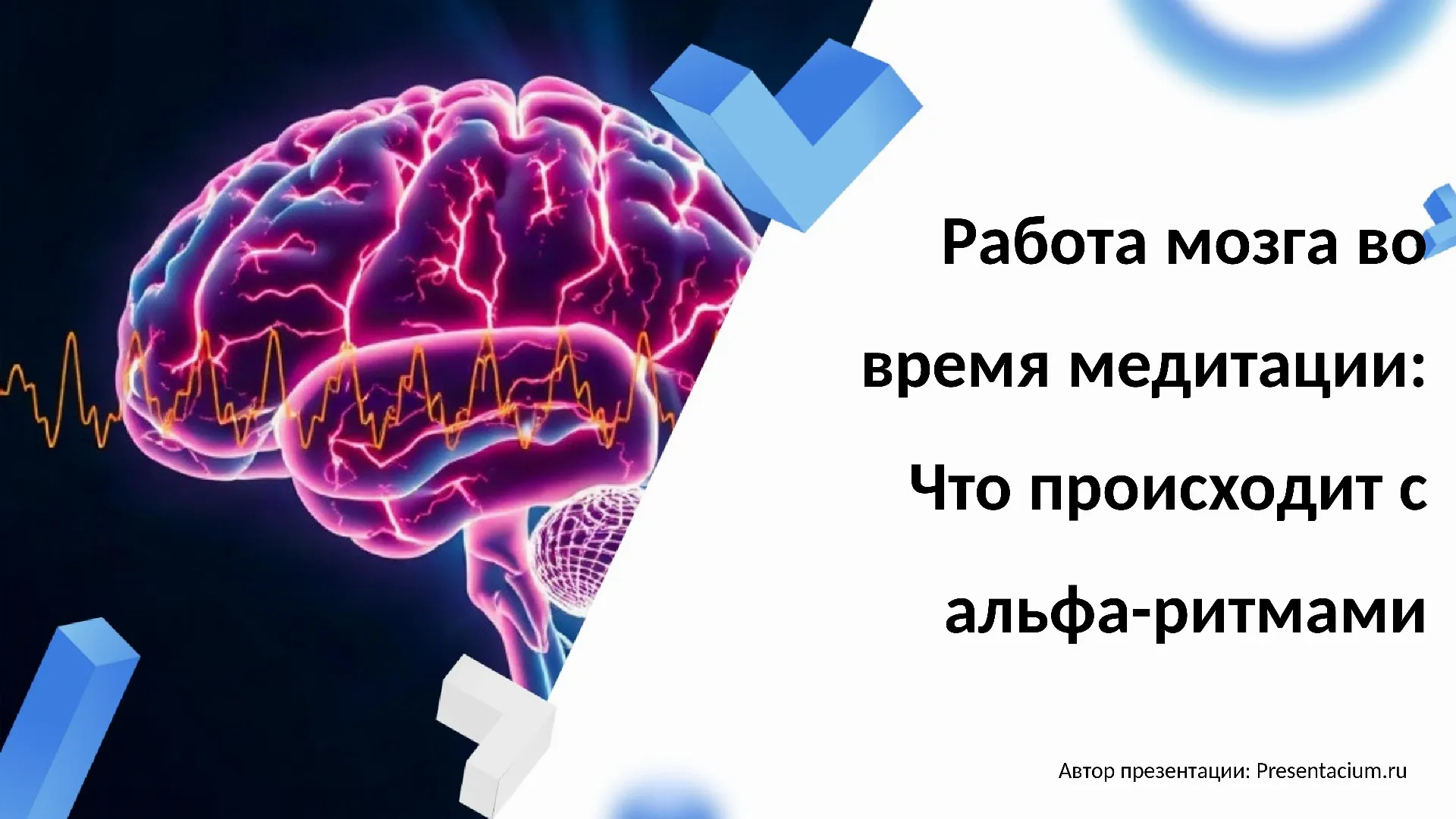 Работа мозга во время медитации: Что происходит с альфа-ритмами.