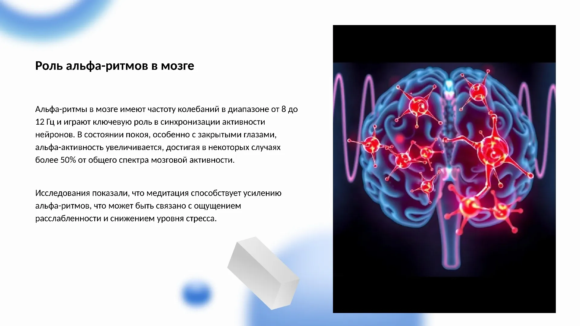 Роль альфа-ритмов в мозге - слайд для презентации на тему 