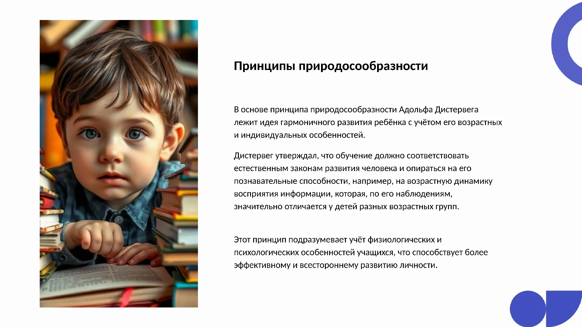 Принципы природосообразности - слайд для презентации на тему 