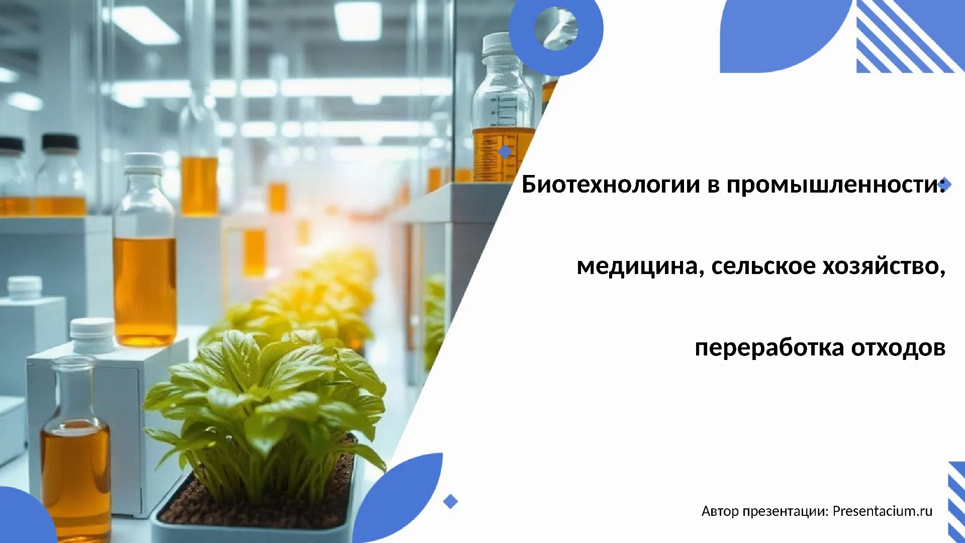 Биотехнологии в промышленности: медицина, сельское хозяйство, переработка отходов