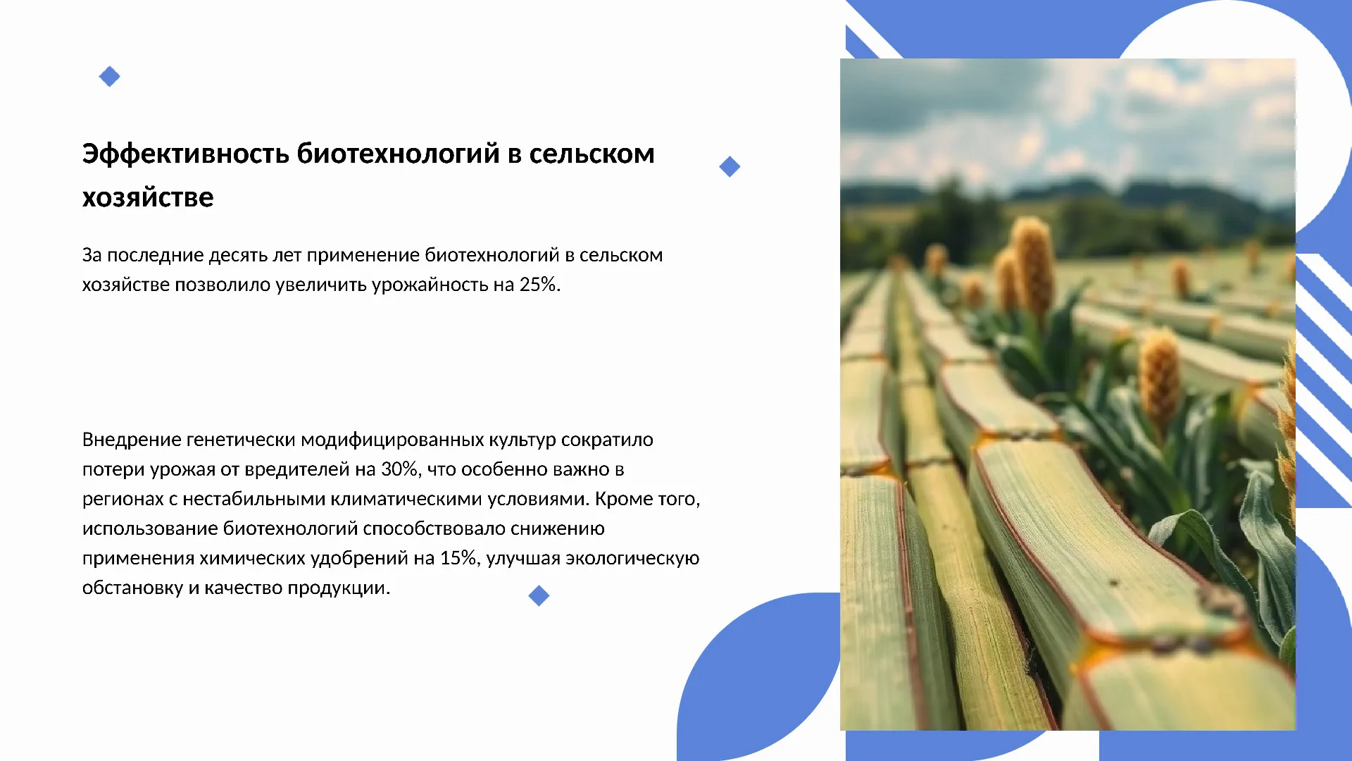 Эффективность биотехнологий в сельском хозяйстве - слайд для презентации на тему 