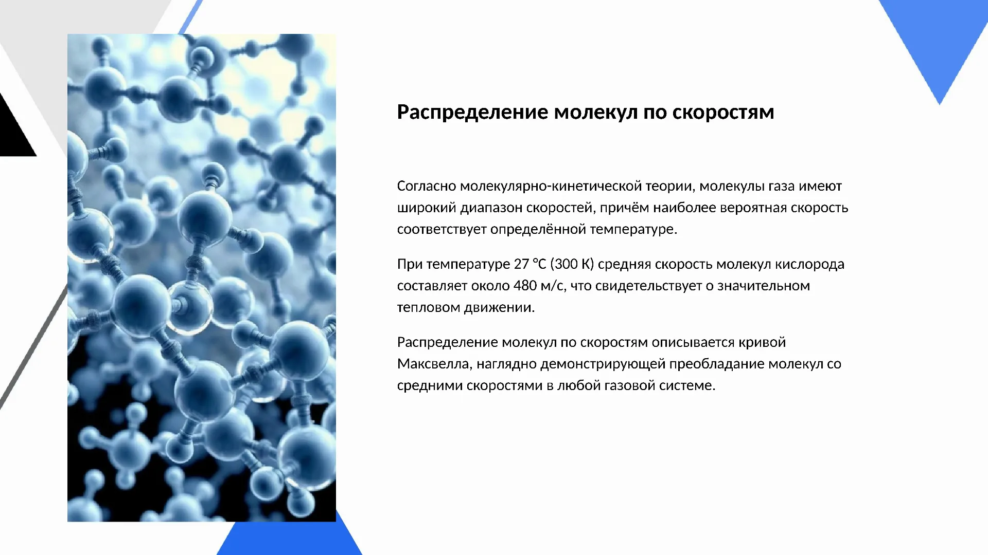 Распределение молекул по скоростям - слайд для презентации на тему 