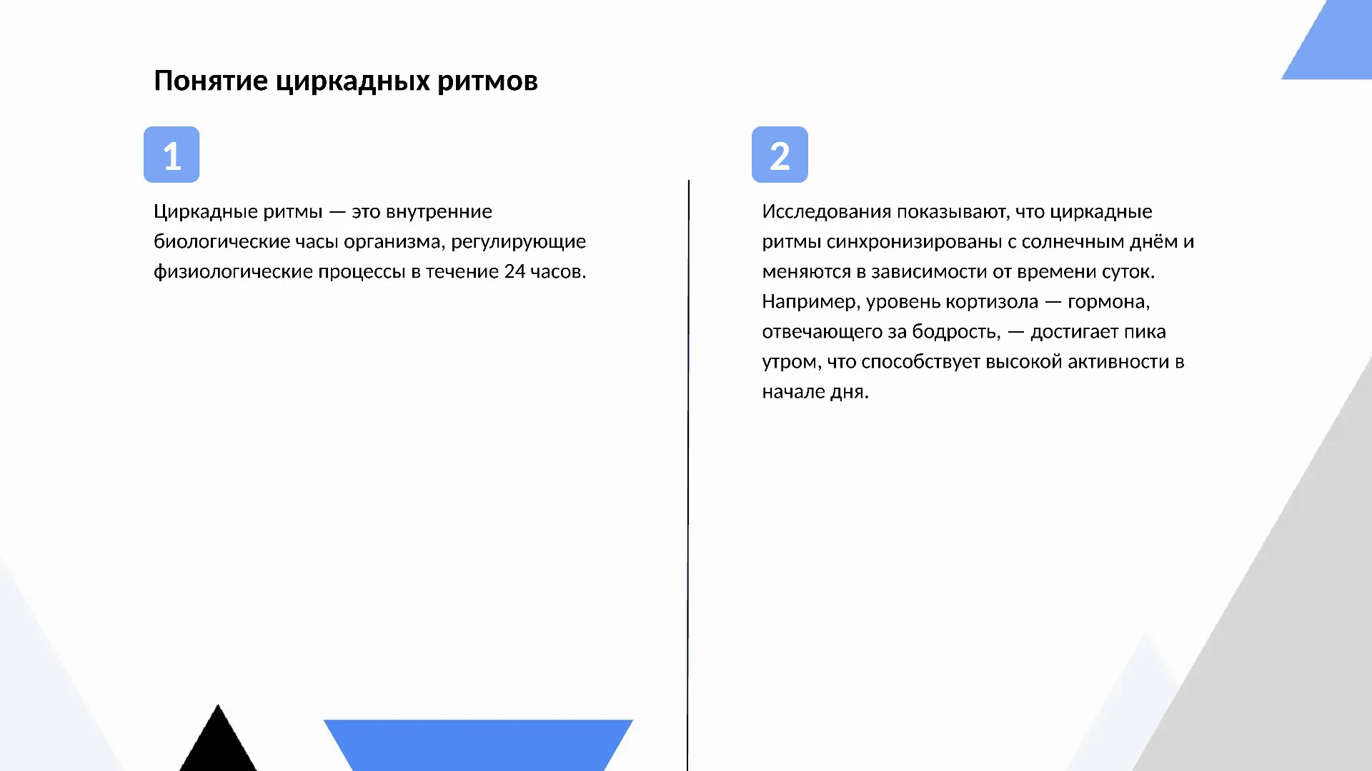Понятие циркадных ритмов - слайд для презентации на тему 