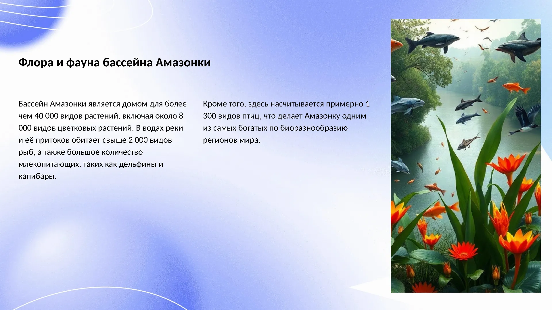 Флора и фауна бассейна Амазонки - слайд для презентации на тему 