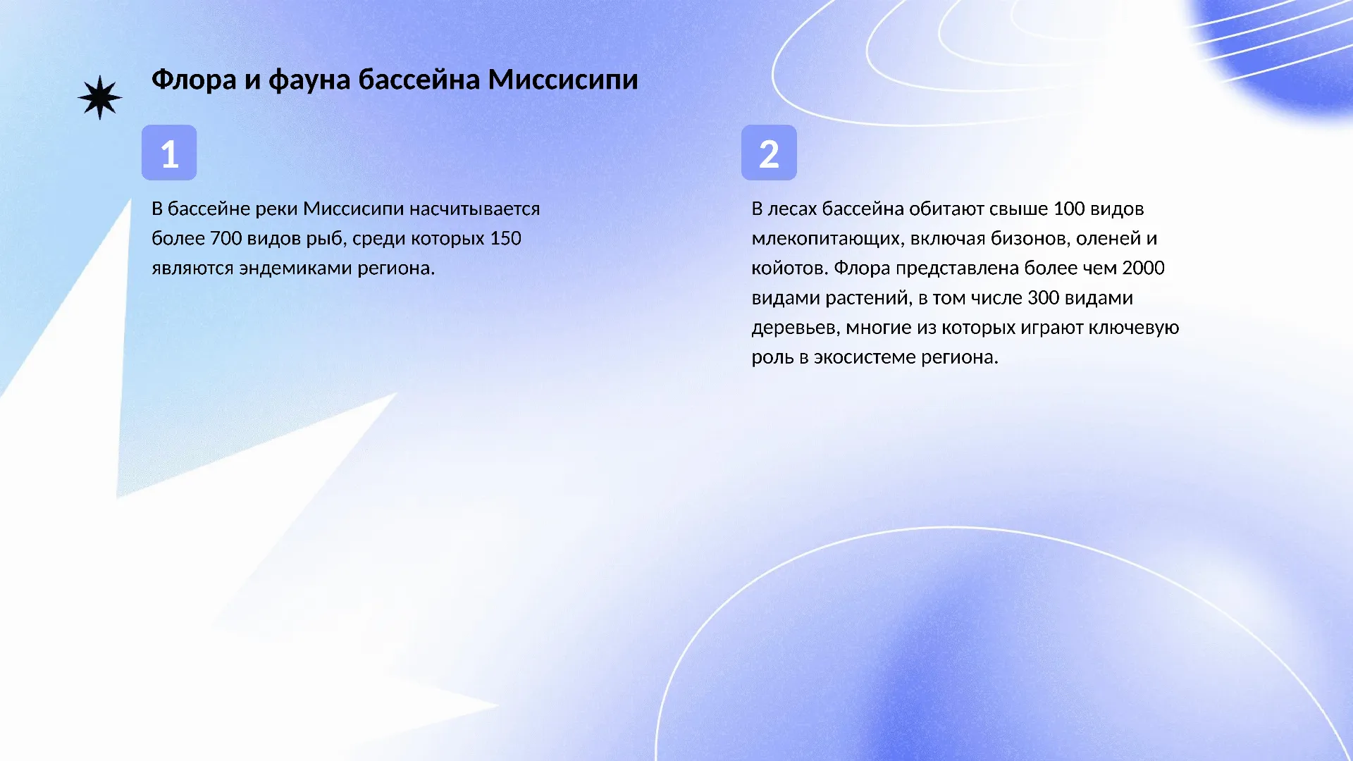Флора и фауна бассейна Миссисипи - слайд для презентации на тему 