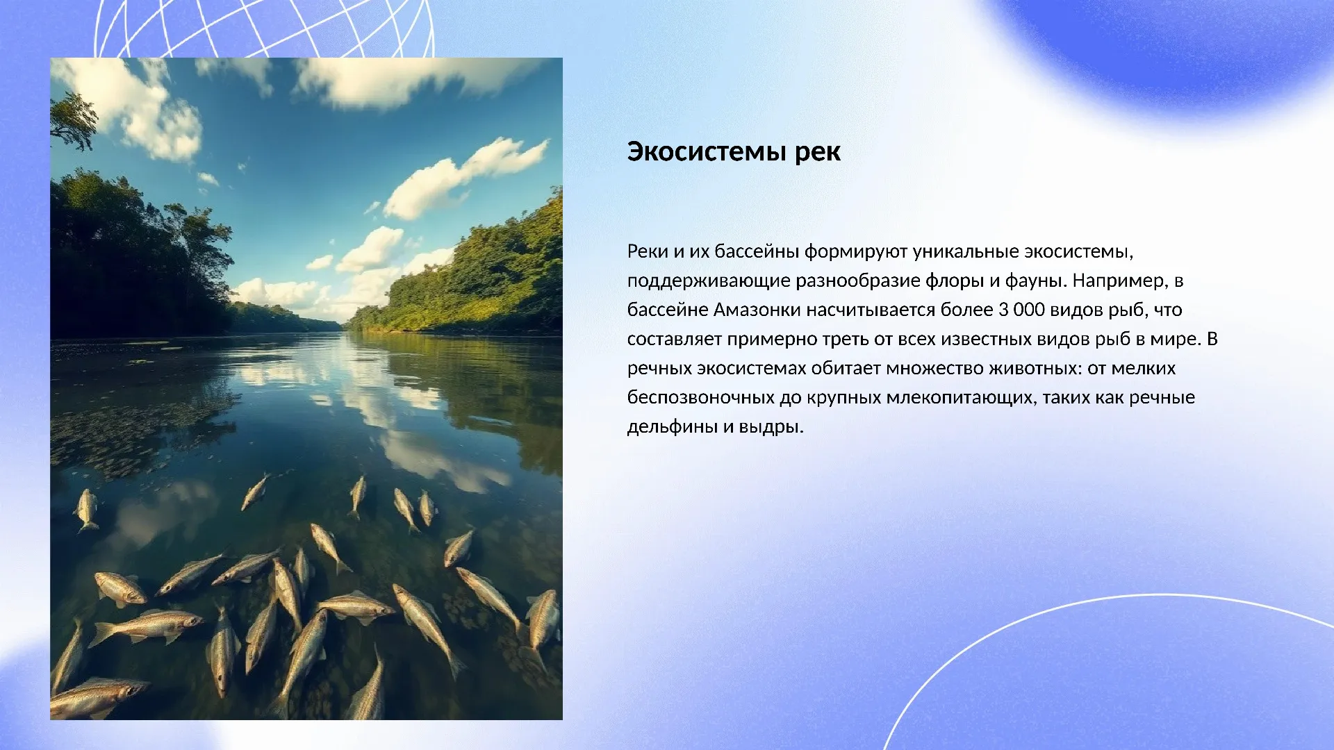 Экосистемы рек - слайд для презентации на тему 
