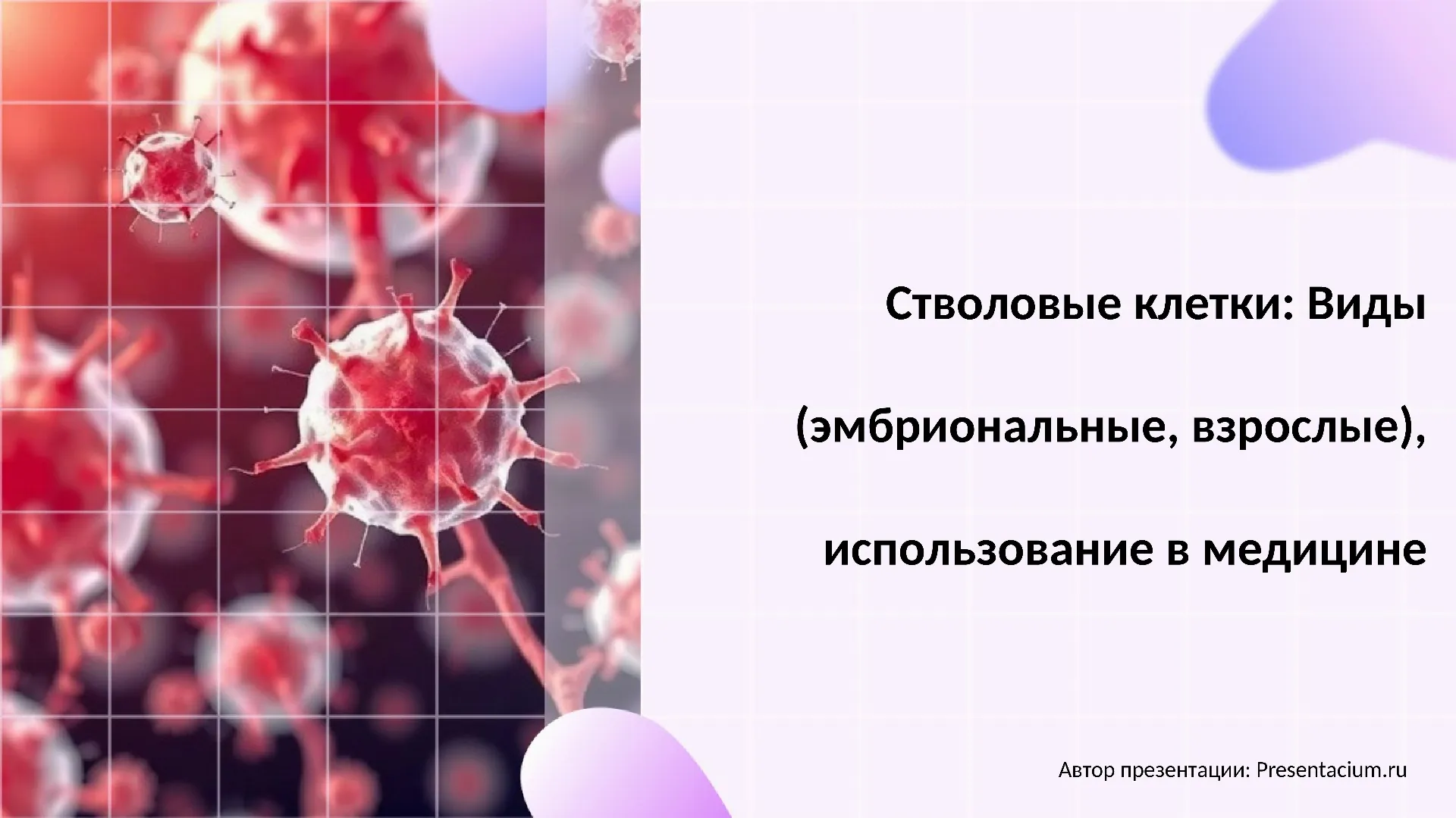 Стволовые клетки: Виды (эмбриональные, взрослые), использование в медицине.