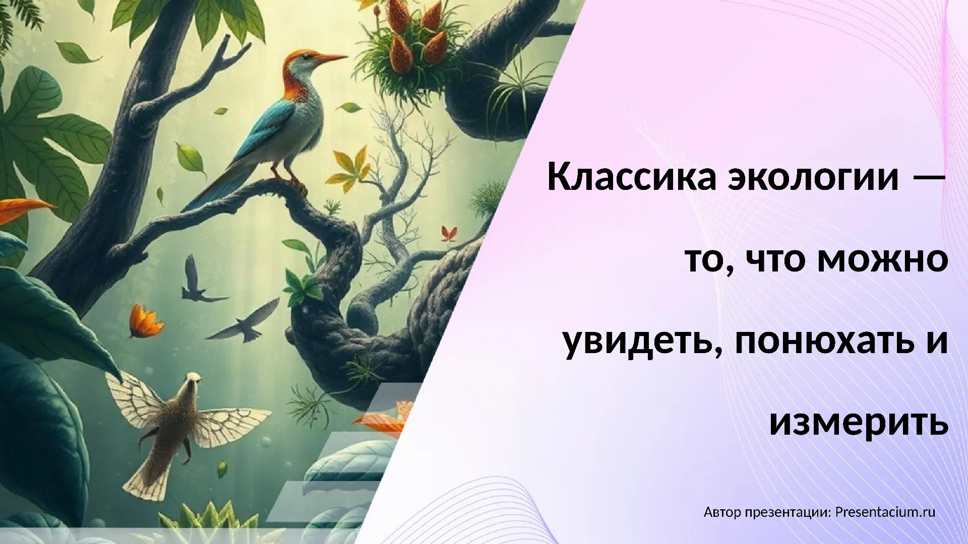 Классика экологии — то, что можно увидеть, понюхать и измерить.