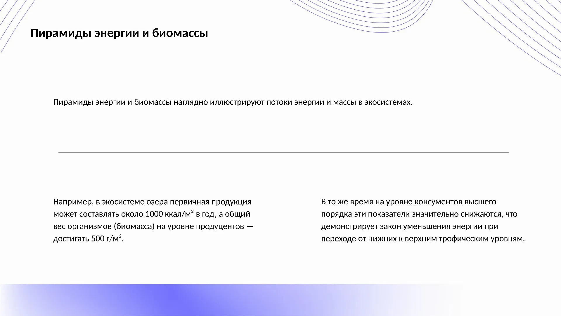 Пирамиды энергии и биомассы - слайд для презентации на тему 