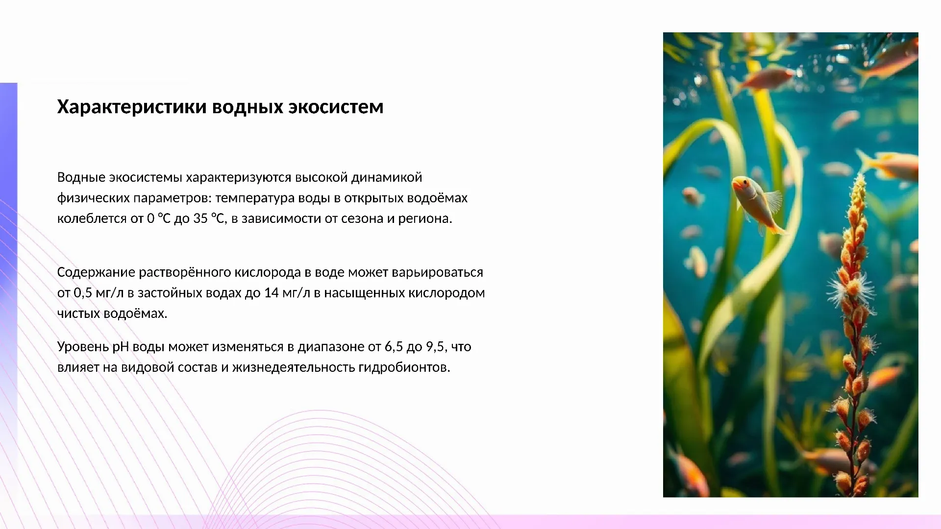 Характеристики водных экосистем - слайд для презентации на тему 