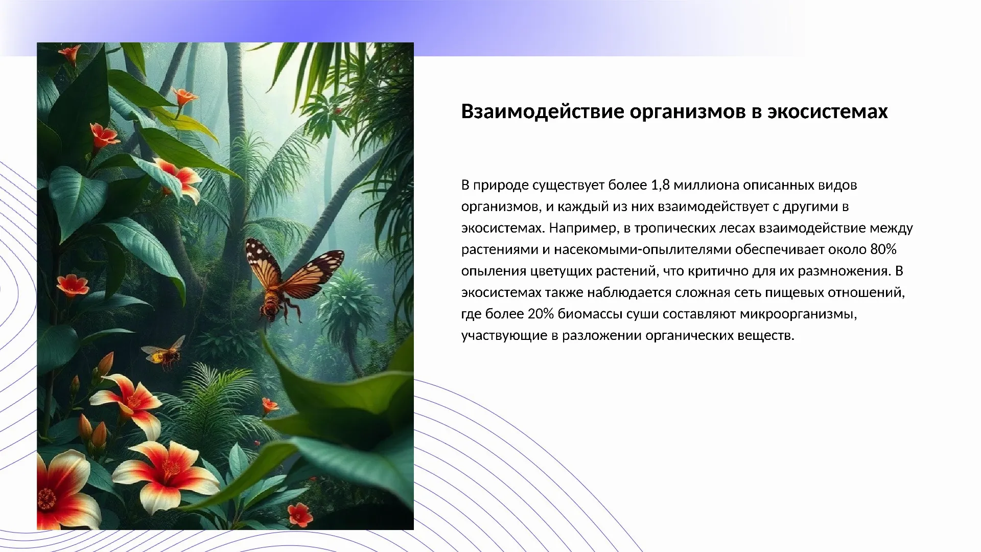 Взаимодействие организмов в экосистемах - слайд для презентации на тему 