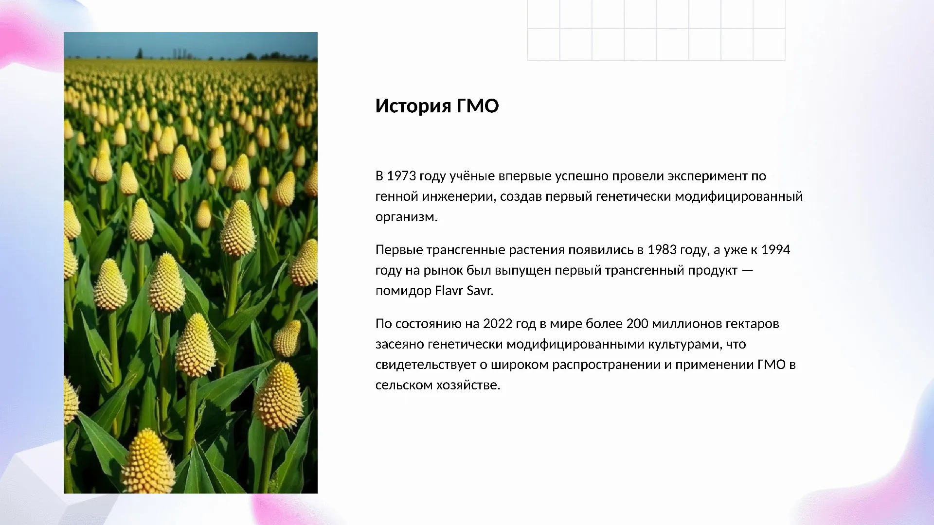История ГМО - слайд для презентации на тему 