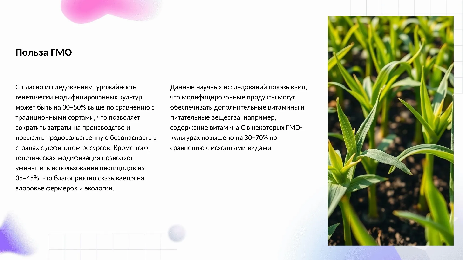 Польза ГМО - слайд для презентации на тему 