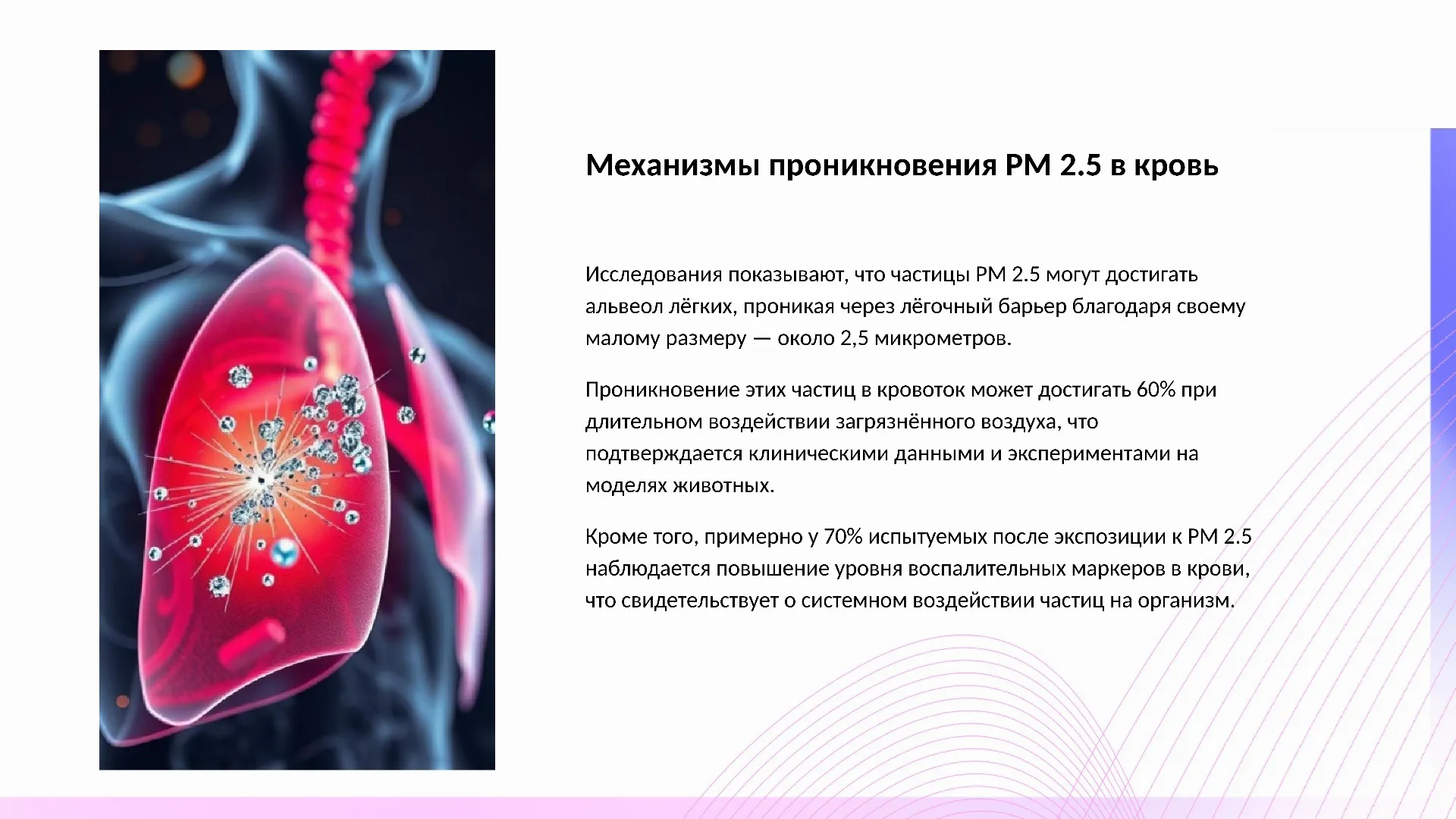 Механизмы проникновения PM 2.5 в кровь - слайд для презентации на тему 